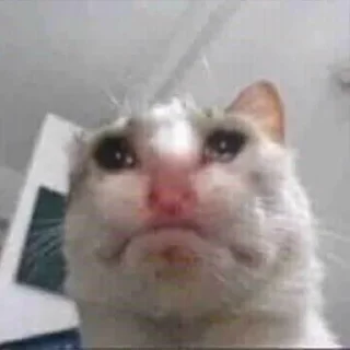 Sticker Memisukamemasu2.0 - 10