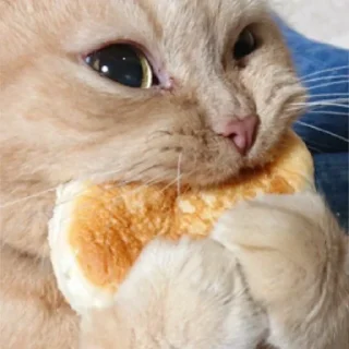 Sticker Memisukamemasu2.0 - 11