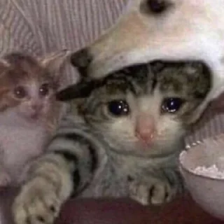 Sticker Memisukamemasu2.0 - 3