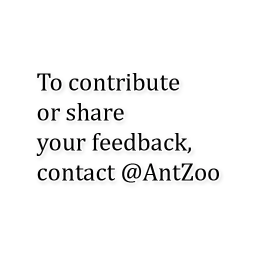 СМС шрифт скриншот