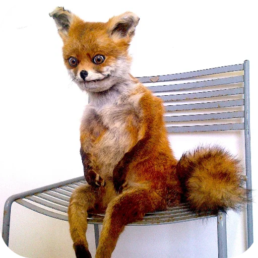 Sticker Memesy78 - 1