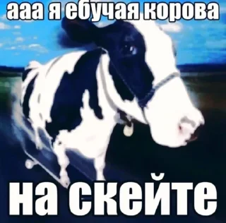 Стикер Meme? - 4