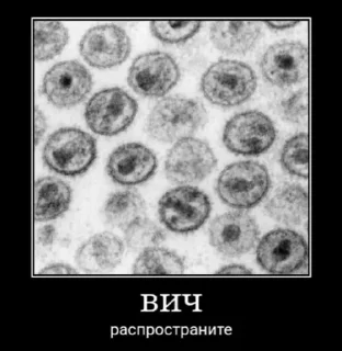 Стикер Meme? - 11