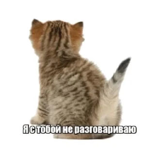 Стикер Meme? - 8