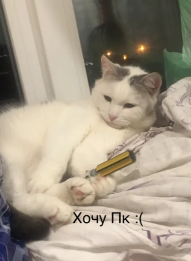 Sticker Memeszszszszszszszs - 1