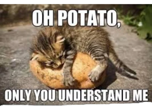 Sticker Memeszszszszszszszs - 1