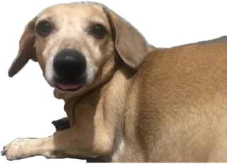 Стикер Маме - 7