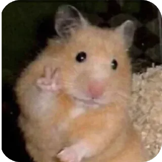 Sticker Мемфис - 11