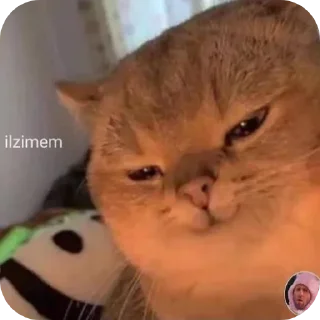 Sticker Мемфис - 4