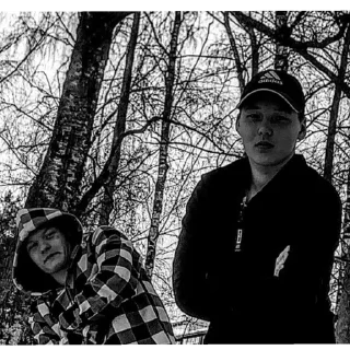 Стикер Мемы - 3