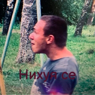 Стикер Мемы - 5