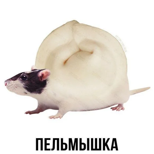 Меми - 