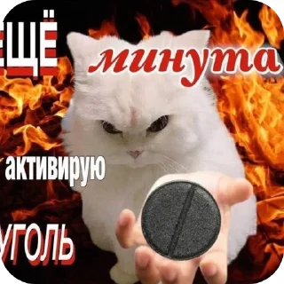 Sticker Меми - 6