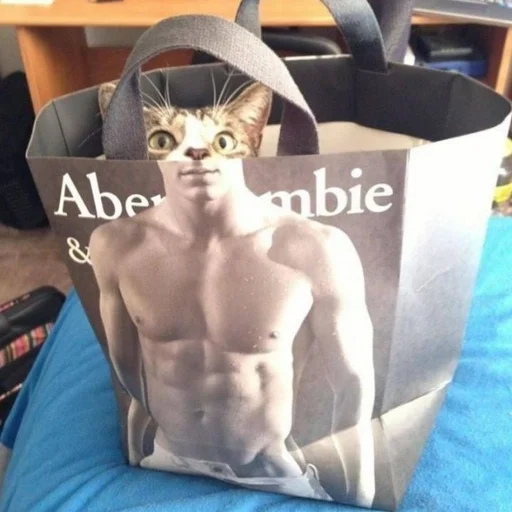 кошка аксессуар млекопитающее