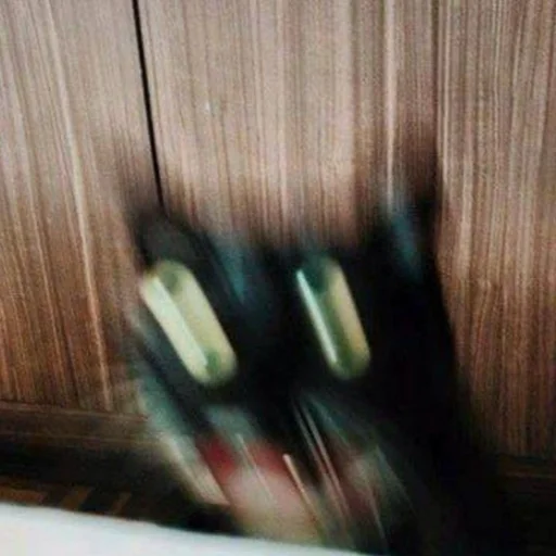 Размыто комнатный этаж