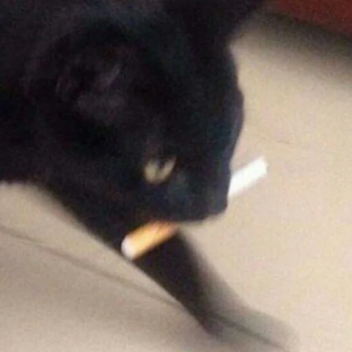 Sticker Memmesss - 1