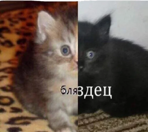 Sticker Memmesss - 1