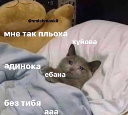 Sticker Memmesss - 1