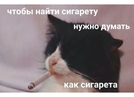 Sticker Memmesss - 1