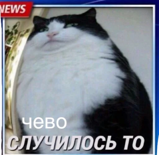 Sticker Memmesss - 1