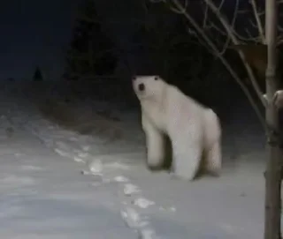 Стикер 2026 - 0