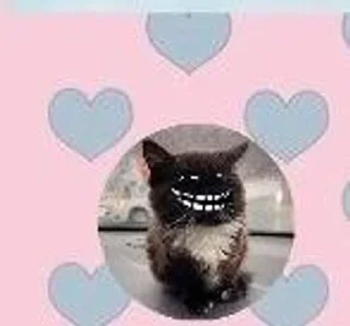 Sticker Жми сюда ➡️ @memniymem5 - 3