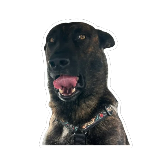 Стикер MemnyjMelya - 1