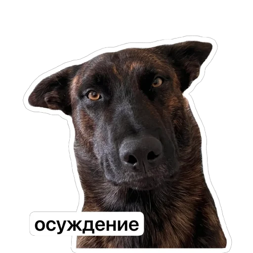 Стикер MemnyjMelya - 1