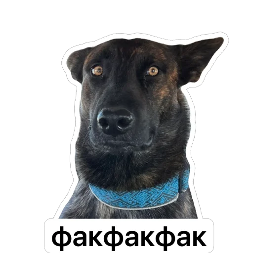 Стикер MemnyjMelya - 1