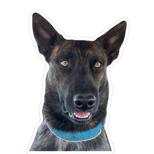 Мемный Меля - 