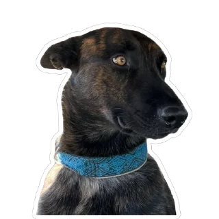 Sticker Мемный Меля - 9