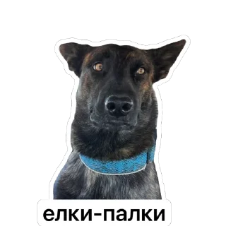 Sticker Мемный Меля - 1