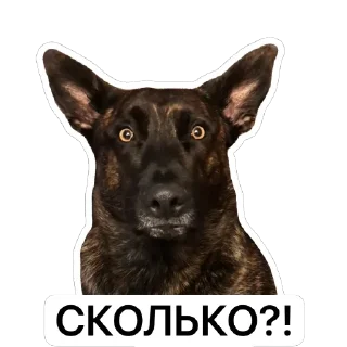 Sticker Мемный Меля - 7