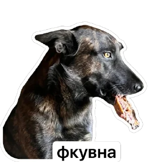 Sticker Мемный Меля - 2