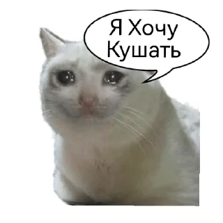 Sticker Мемный пакет - 3