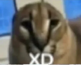 Sticker Мемчики от @Icsi_UwU - 2