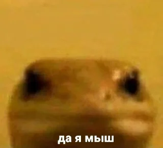 Sticker Мемчики от @Icsi_UwU - 8