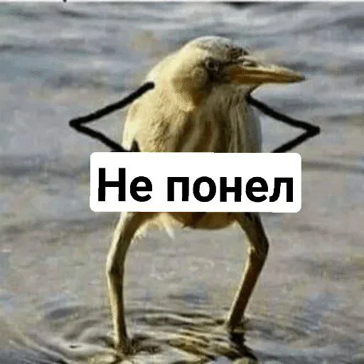 Sticker Мемы @TGSHAvKAT - 10