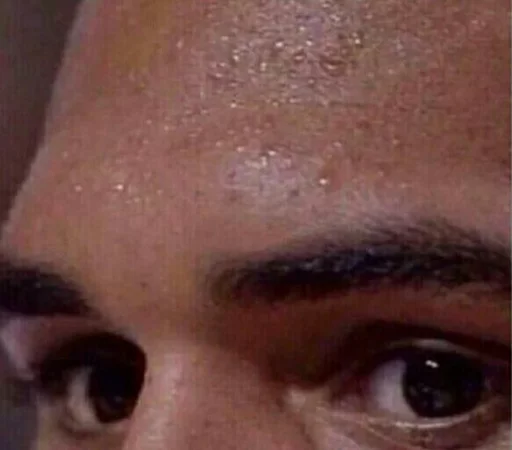 eyebrow eyelash closeup