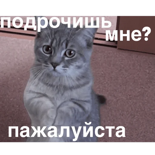 Стикер Mems_34 - 1