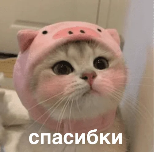 Стикер Mems_34 - 1