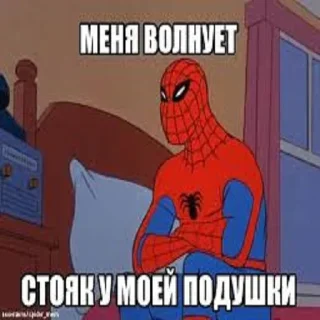 Sticker Мем паук - 6