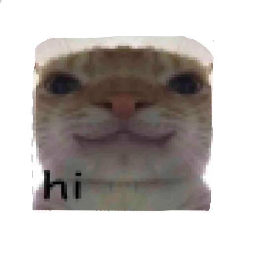 влад бумага 🤯 - 