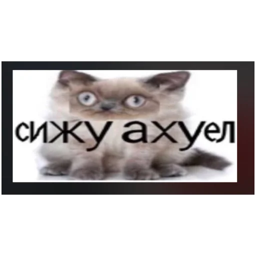 Sticker влад бумага 🤯 - 11