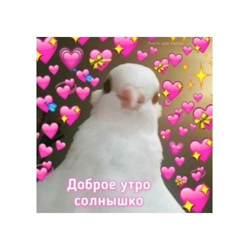 Sticker влад бумага 🤯 - 10