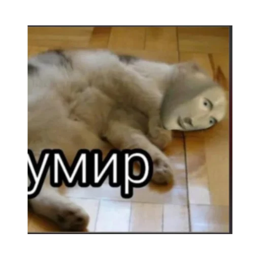 Sticker влад бумага 🤯 - 9