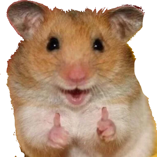 Sticker влад бумага 🤯 - 7