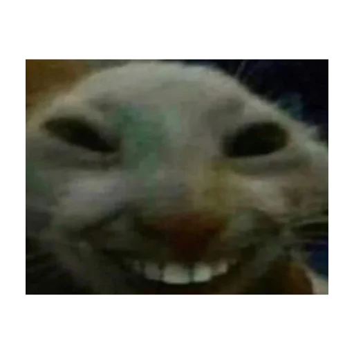 Sticker влад бумага 🤯 - 6