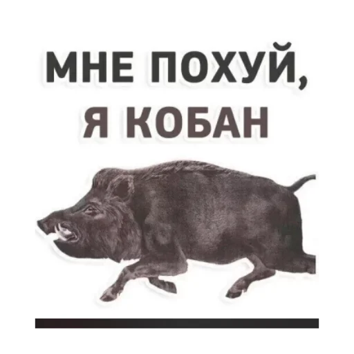 Sticker влад бумага 🤯 - 5