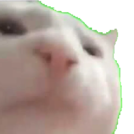 Sticker влад бумага 🤯 - 4